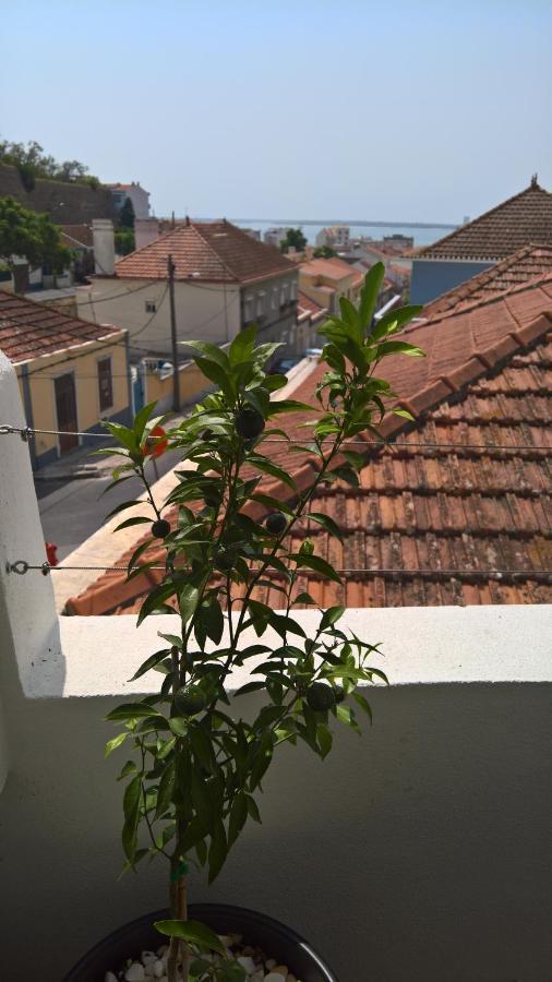 Casa Do Viso Villa Setubal Luaran gambar